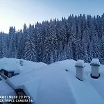 5 - планински перли *