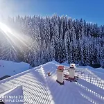 5 - планински перли Stoykite