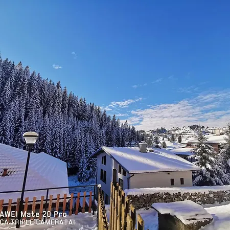 5 - планински перли 펜션