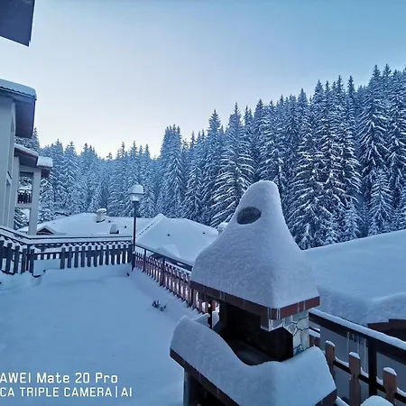 5 - планински перли Stoykite