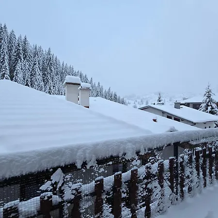 5 - планински перли Stoykite