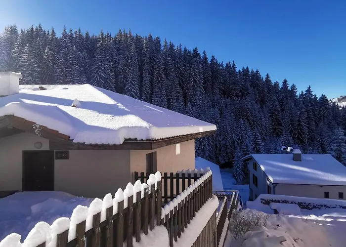 5 - планински перли