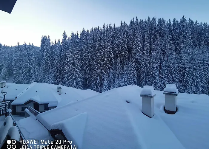 5 - планински перли *