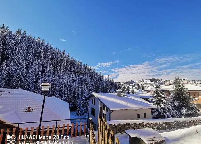 5 - планински перли 펜션