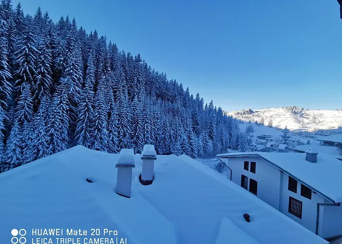 5 - планински перли 펜션 Stoykite