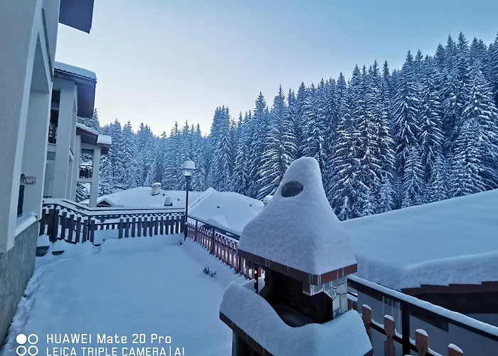 5 - планински перли Stoykite