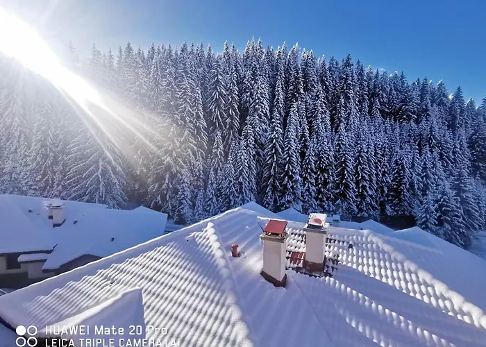 5 - планински перли Stoykite