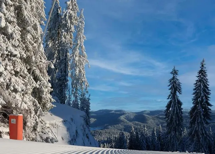 5 - планински перли 펜션 Stoykite