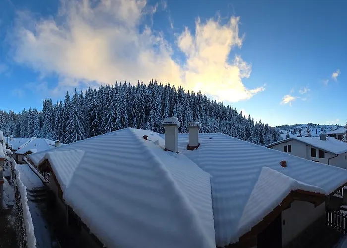 5 - планински перли Stoykite