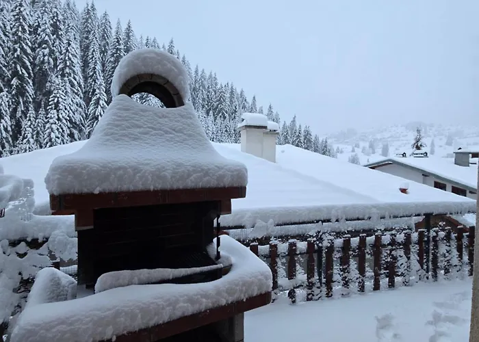 펜션 5 - планински перли